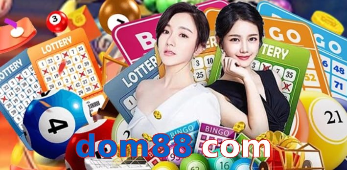 dom88 com