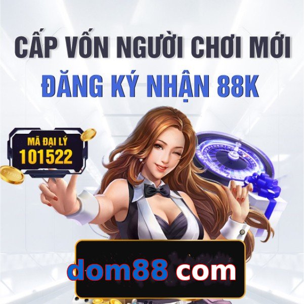 dom88 com