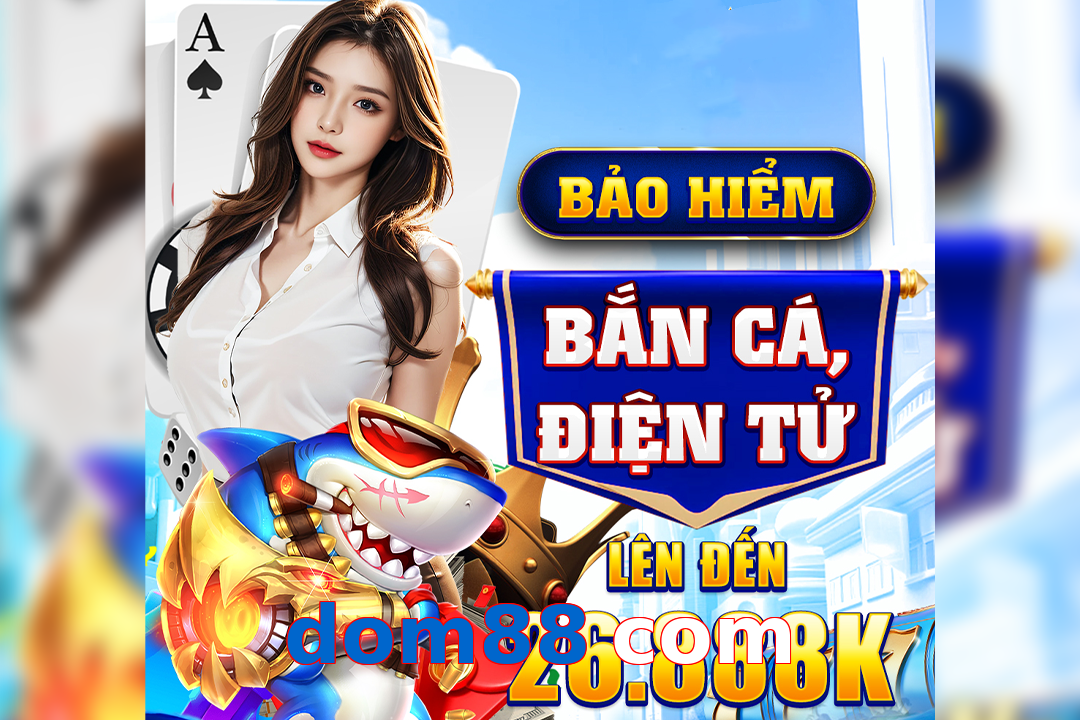 dom88 com