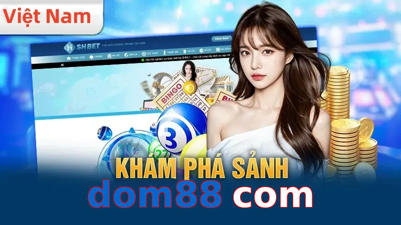 dom88 com